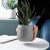 Import Modern Cement plant pot abstract face simple personality matt sandblasting Nordic indoor garden green planter pot from China