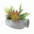 Import Modern Plant Pot Indoor Decor Cement Flower Pots Planter from China