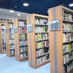 Modern Simple Design Steel-Wood Bookshelf for Office Room Bookcase