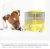 Import Multi-functional pet fun slow feeder interactive dog toy from China