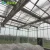 Import Multi-Span Agricultural Glass Victorian Green house for sale from China