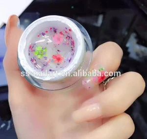 Nail Art Paint UV Gel with Dry Flower Professional Soak Off UV Gel Nail Polish