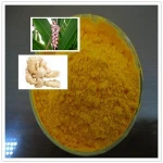 Natural Chinese ginger extract 84696-15-1 Gingerol 5%