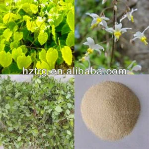 Natural Chinese Herbal Plant Epimedium Extract/Epimedium Leaf Extract