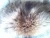 Import Natural Color Raccoon Fur For Hood from China