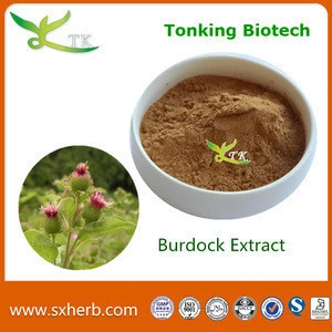 Higher Grade Natural Fresh Burdock Root Extract