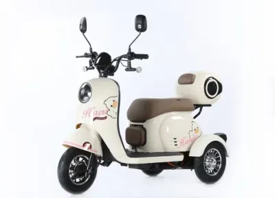 New Cheap Battery Powered Tricycle Electric Vehicle