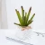 Import new design mini cute glass potted arrangement cactus succulent artificial plants indoor outdoor home garden decoration for sale from China
