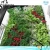 Import New designed garden products green wall Modules vertical garden pots and Planters from China