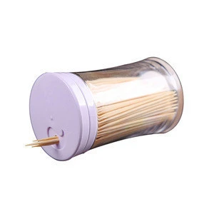 New inventions in china Food Grade Plastic bottle bamboo tooth pick toothpick