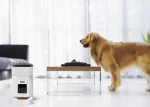 Newest Non-Toxic Plastic Automatic Pet Dog Cat Food Feeder