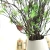 Import Nice-looking party artificial plant home indoor with low price from China