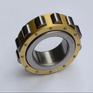 NSK bearings RN309M  Japan cylindrical roller bearing RN309