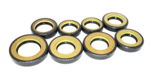 oil seal  Hydraulic oil seal 35*60*15mmTCN High pressure BP4561E