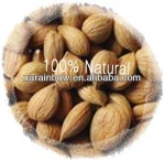 Organic bitter apricot kernel with fast delivery