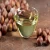 Import Organic Hazelnut Oil | Filbernut Oil - Pure and Natural Cold Pressed Carrier Oils from China