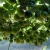 Import Organic Luo han guo extract bulk powder 20%~60% Mogroside V monk fruit from China