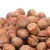Import Organic shelled raw Hazelnut for supplement food from China