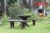 Import Outdoor table - Art wood table from Vietnam