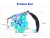 Import Pet products running dog leash Retractable 12 color 5M long tax stamp retractable dog leash from China