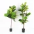 Import Plastic Artificial Bonsai Tree Faux Ficus Plant Tree Indoor Artificial Bonsai Trees from China
