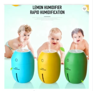 Portable lemon usb mini humidifier