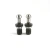 Import PULL STUDS MAS403 BT short 3mm Hass from China