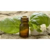 Pure and Natural Organic Holy Basil Oil