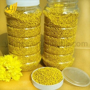 Pure!! bee bread, bulk bee rape pollen powder, rape particles with best price