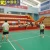 Import PVC sports flooring - Multi Function Sports Flooring from China