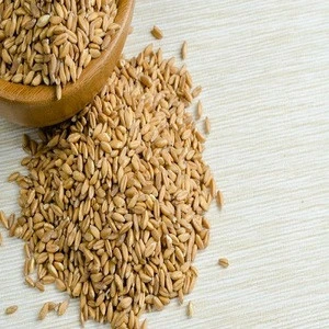 Quality Bulgur Wheat from SA