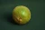 Import Quality Fresh Green Kiwi fruit from Ukraine