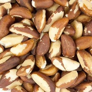 Raw Brazil Nuts/Beech nuts/Dried Coconut