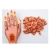Removable Finger Diy Nail Training Hand Manicure Nail Practice Hands