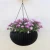 Import Resin Rattan  Round Hanging Planter Baskets,Hanging Basket Planter Plastic Flower Plant Pot with Drainer and Chain Round Decor from China