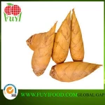 Retain freshness bamboo shoot of winter vegetable