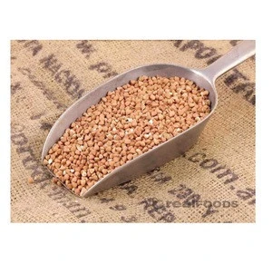 Roasted Buckwheat Wholesale supplier 100% High quality cheap rate Bulk Quantity