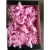 Import Rosecool Dried flower cheap Hydrangea preserved flower for Gift making from China