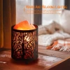 Salt Lamp Natural Himalayan Salt Lamp Salt Night Light in Forest Design Metal Basket with Dimmer Switch Womens Day,