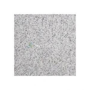 Samistone 240x240x25mm Paving Stone Cheap Polished Granite Sardinia White Granite