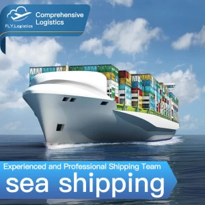 Sea Logistic From China To Turkey China To Philippines Pakistan New Zealand Air Cargo Service
