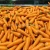 Import Season 2020 From Vietnam organic fresh carrot size S M L 2L 3L carton box 5kg 10kg length size 16-24cm from Vietnam