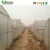 Import single span poly house agriculture greenhouse from China