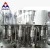 Import small bottle water bottling machine ,star wheel for glass bottle,small industrial project from China