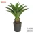 Import Snake plants artificial , types of ornamental plants , artificial outdoor plants from China
