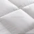 Import Soft Home Hotel Bedding Inner 100% cotton Goose Duck Feather Down Duvet inner from China