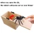 Import Spider Prank Box,Handmade Wooden Practical Joke Boxes,  Prank Scare Spider Toy for Halloween Party and Gift Box from China