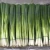 Import Spring Onions  Green Onions fresh new crop new season high quality with cheap price from Egypt