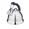 Stainless Steel Teapot Premium Whistling Kettle White
