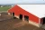 Import Steel Structure Barn building prefab warehouse design  chicken house/cow horse shed from China